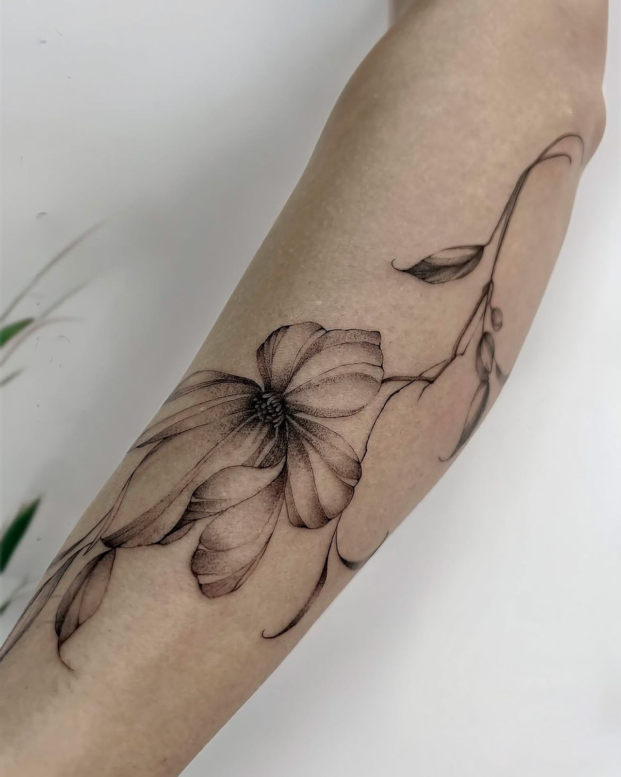 Flowers tattoo by Stella - Tattoo Studio 96 