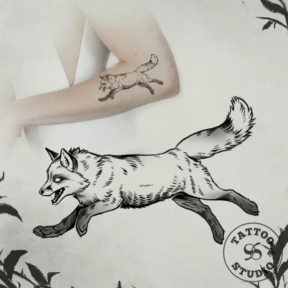 Signe - Fox