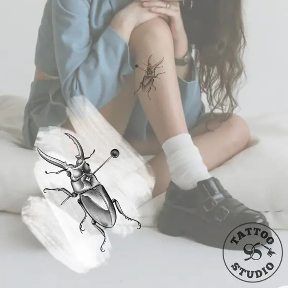 Frederikke - Last of the bugs 